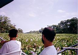 56 rio camino Tortuguero.jpg